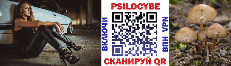 Псилоцибиновые грибы мухоморы  Шенкурск 